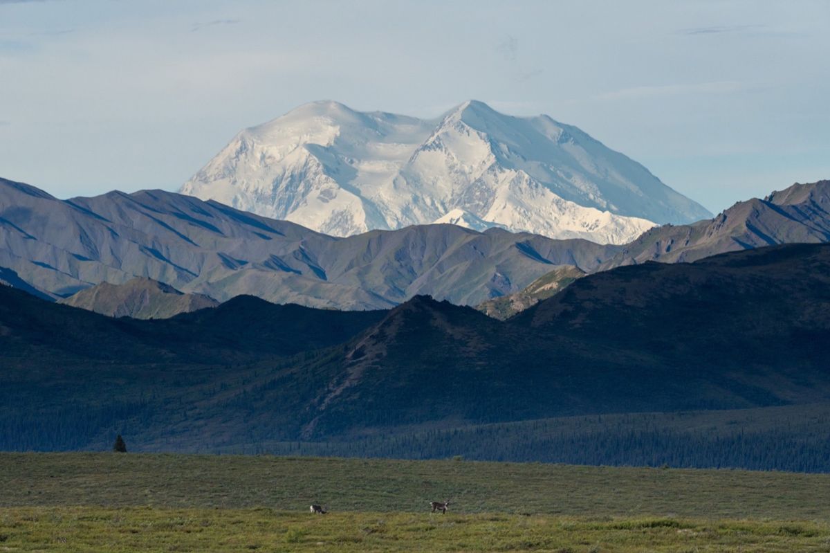 Denali rising above layered mountain ridges and open tundra