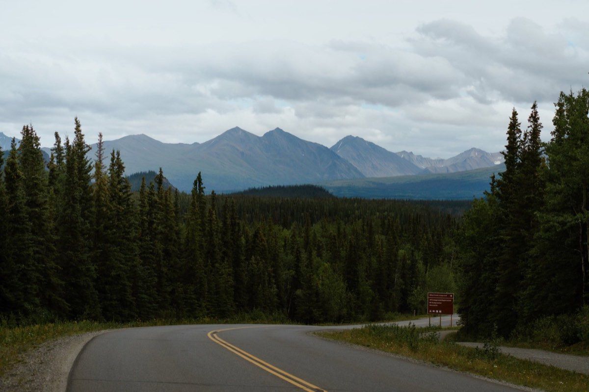 Denali Park Road curving through open tundra