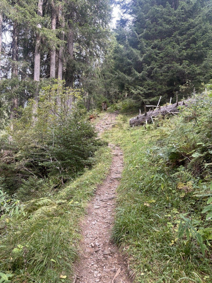 Quiet paved road climbing above Klosters towards Schlappin