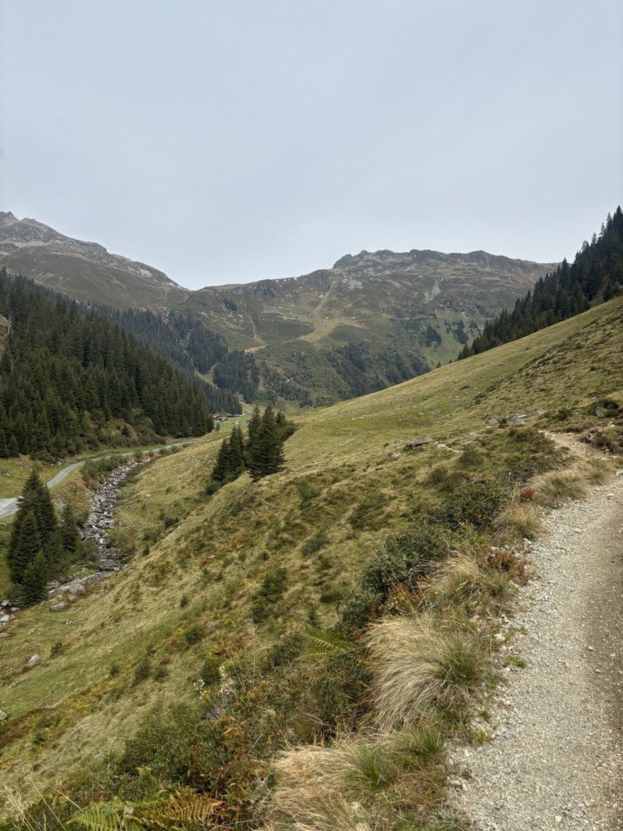 Hiking path above the wooded valley leading away from Klosters