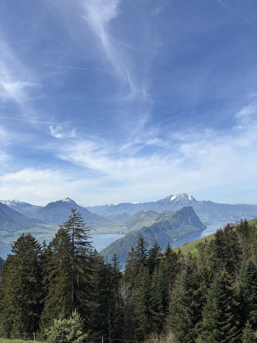 Lake Lucerne, Bürgenstock and Pilatus seen above the forest from Hinterbergen