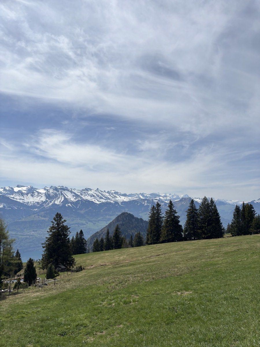 Open meadow and snowy Alpine chain near Rigi Scheidegg in late April