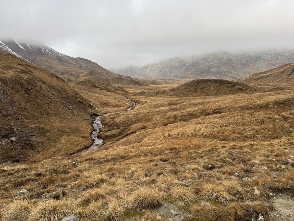 A stream crossing the broad autumn landscape of the Greina plateau beneath low cloud