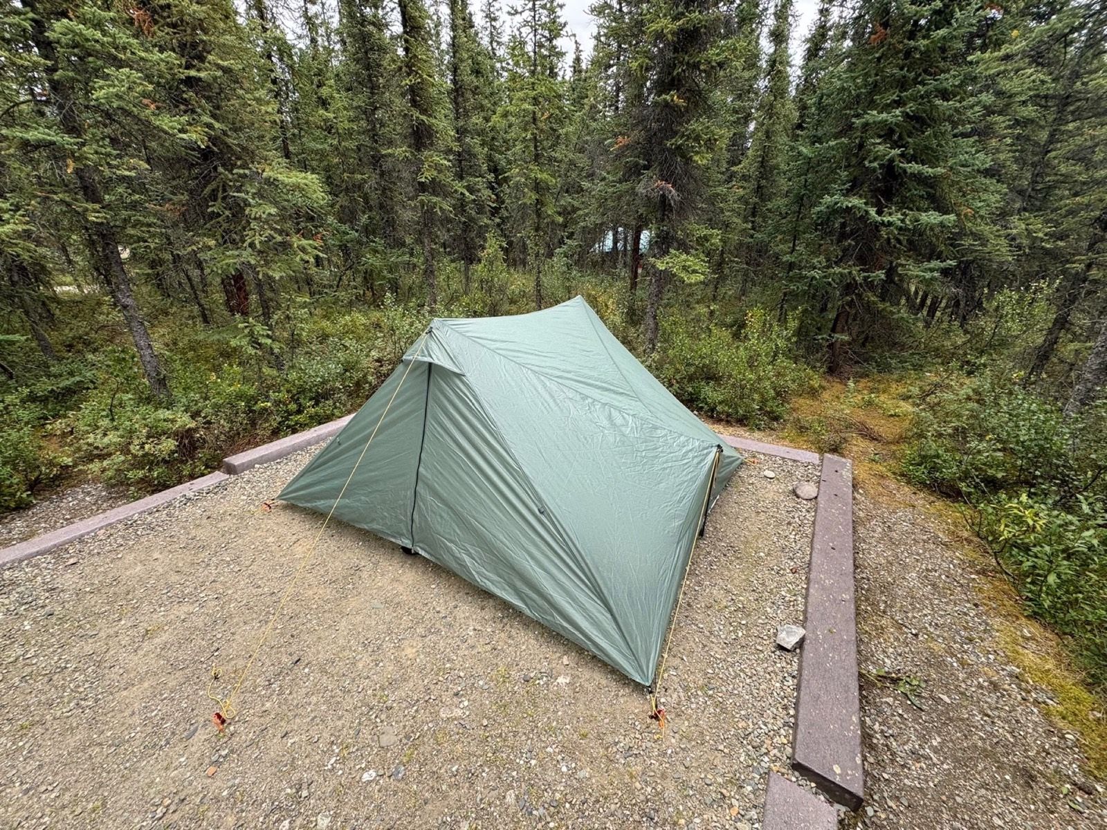 A green tent pitched on a wooded gravel site at Riley Creek Campground