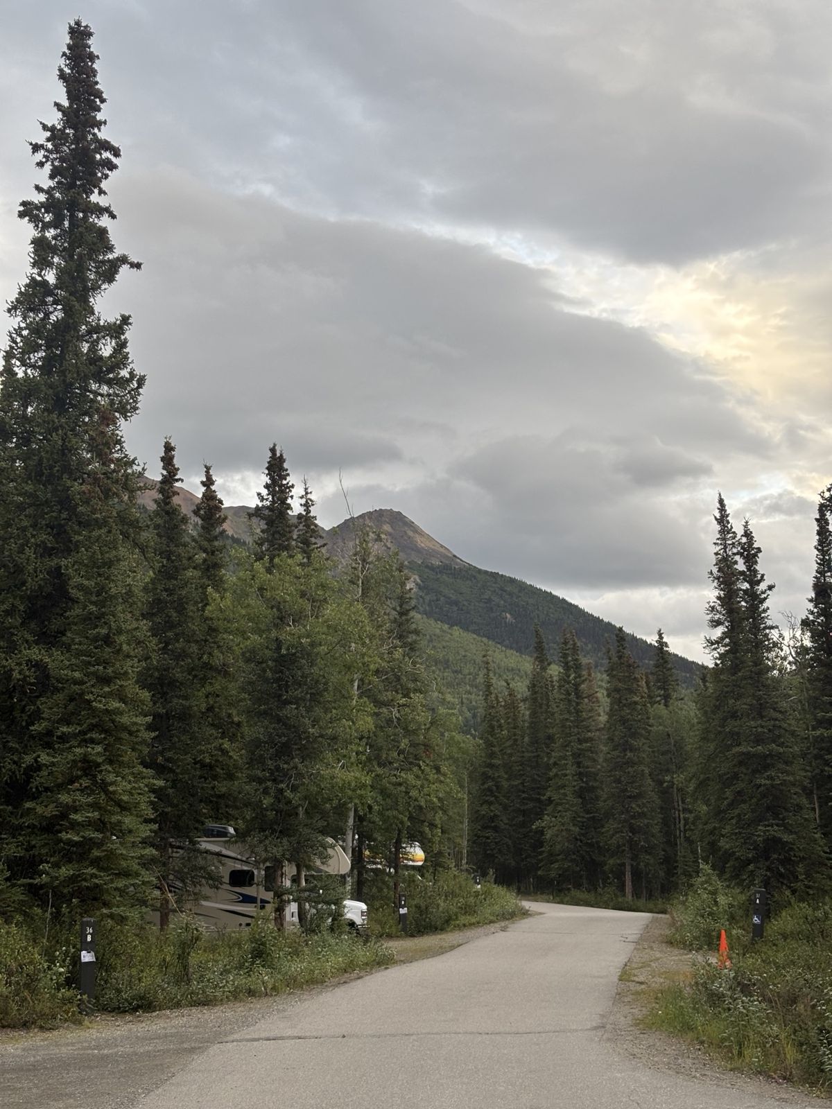 Wooded campground road and numbered sites in Wolf Loop
