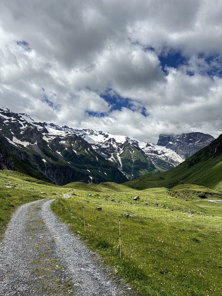 A gravel track descending through green Alpine pasture towards Titlis
